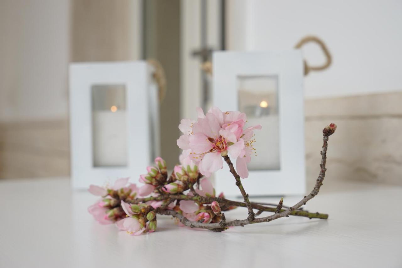 Femily B&B Bed And Breakfast Di Puglia In - Bari Grumo Appula Extérieur photo