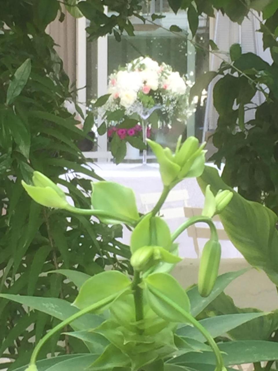 Femily B&B Bed And Breakfast Di Puglia In - Bari Grumo Appula Extérieur photo